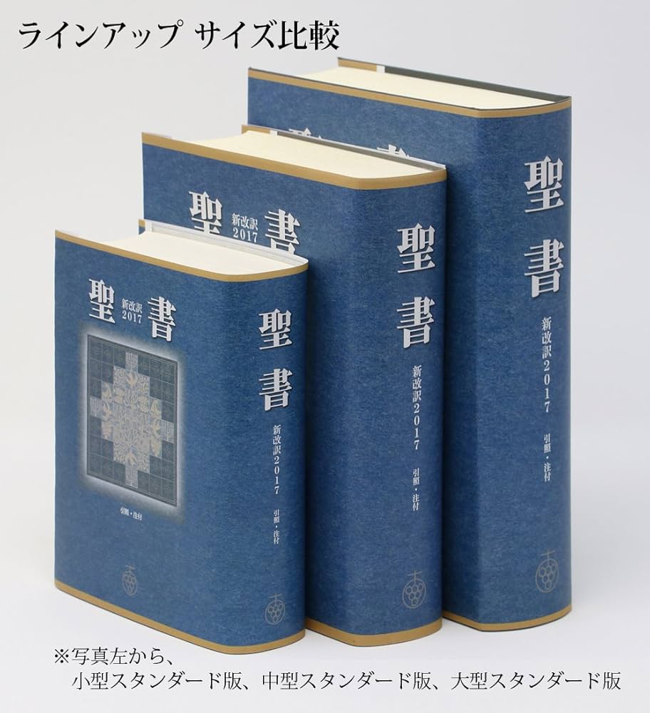 頼山陽 日本政記 初の完訳 日本政記剳記 | 島根大学法文学部山陰研究