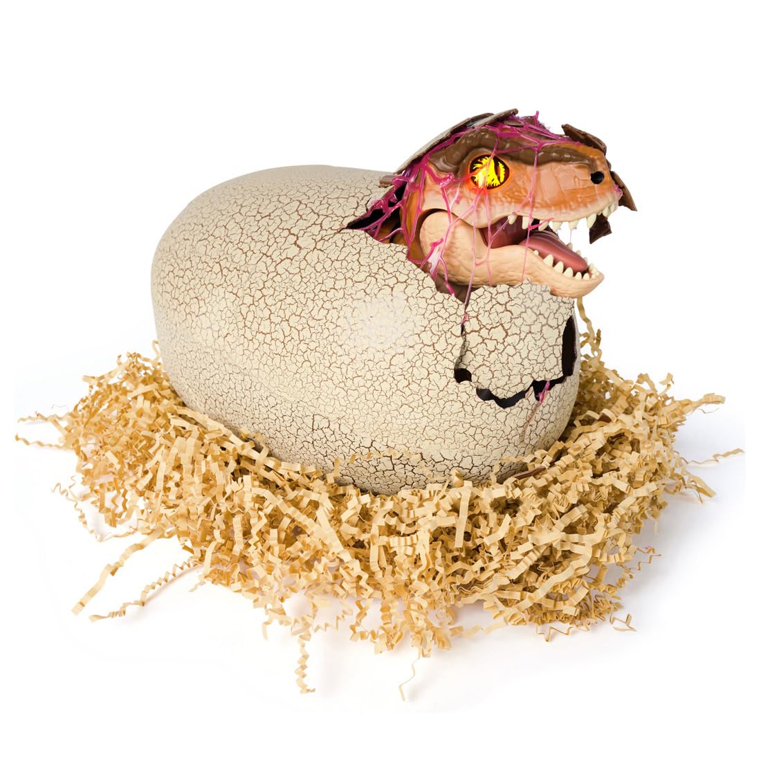 Amazon.co.jp: タカラトミー(TAKARA TOMY) うまれて! ウーモ