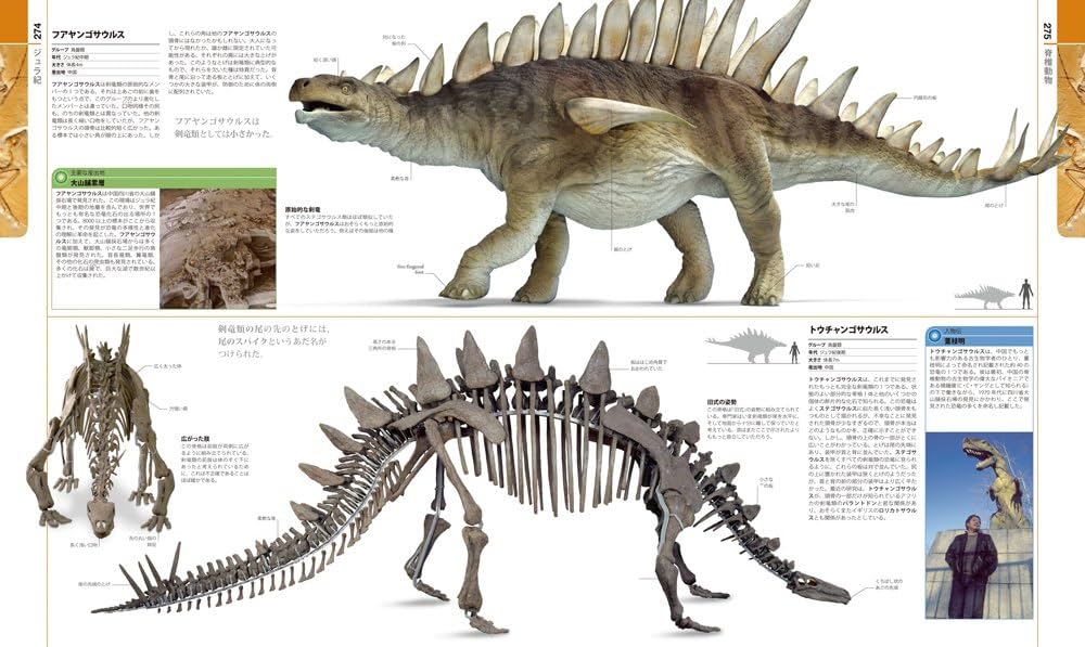 Amazon.co.jp: 生物の進化 大図鑑 : マイケル・J・ベントン 他, 小畠