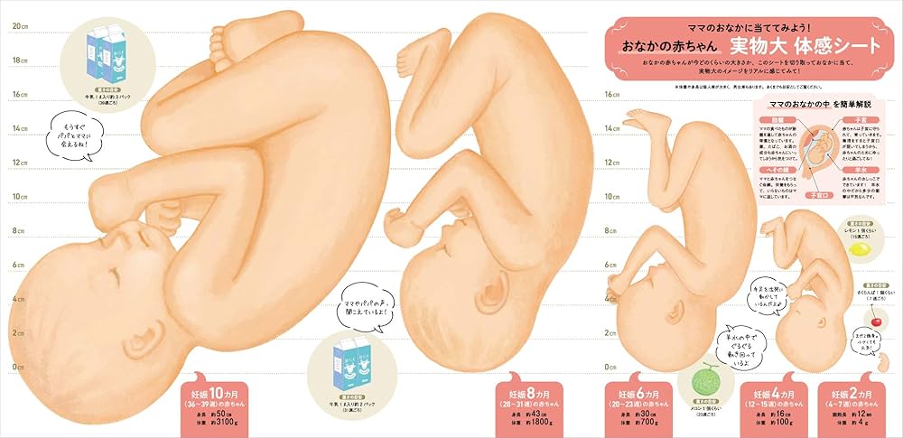最新! 初めての妊娠・出産新百科 (ベネッセ・ムック たまひよブックス