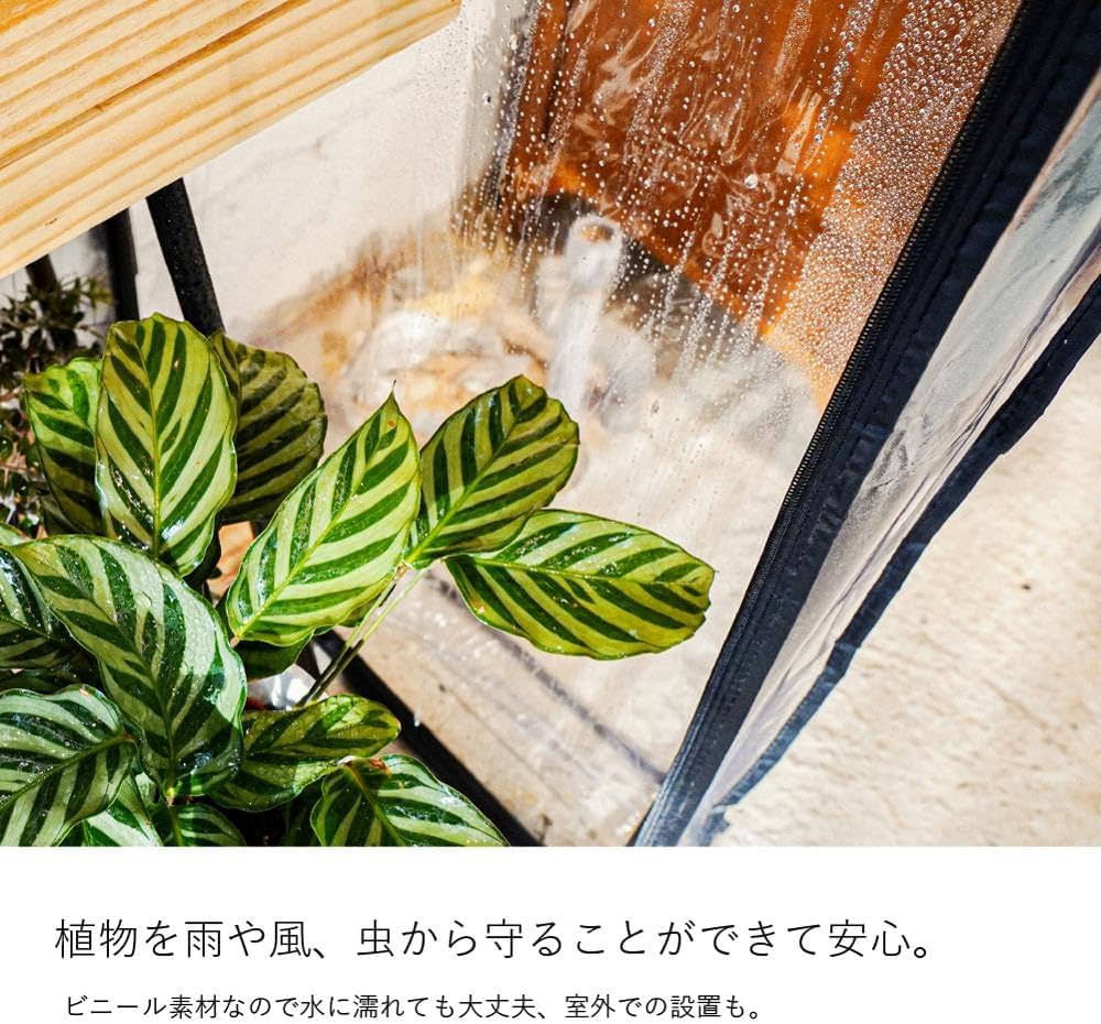 Amazon.co.jp: 【BARREL公式】ビニール温室 GREEN THUMBERS GREEN