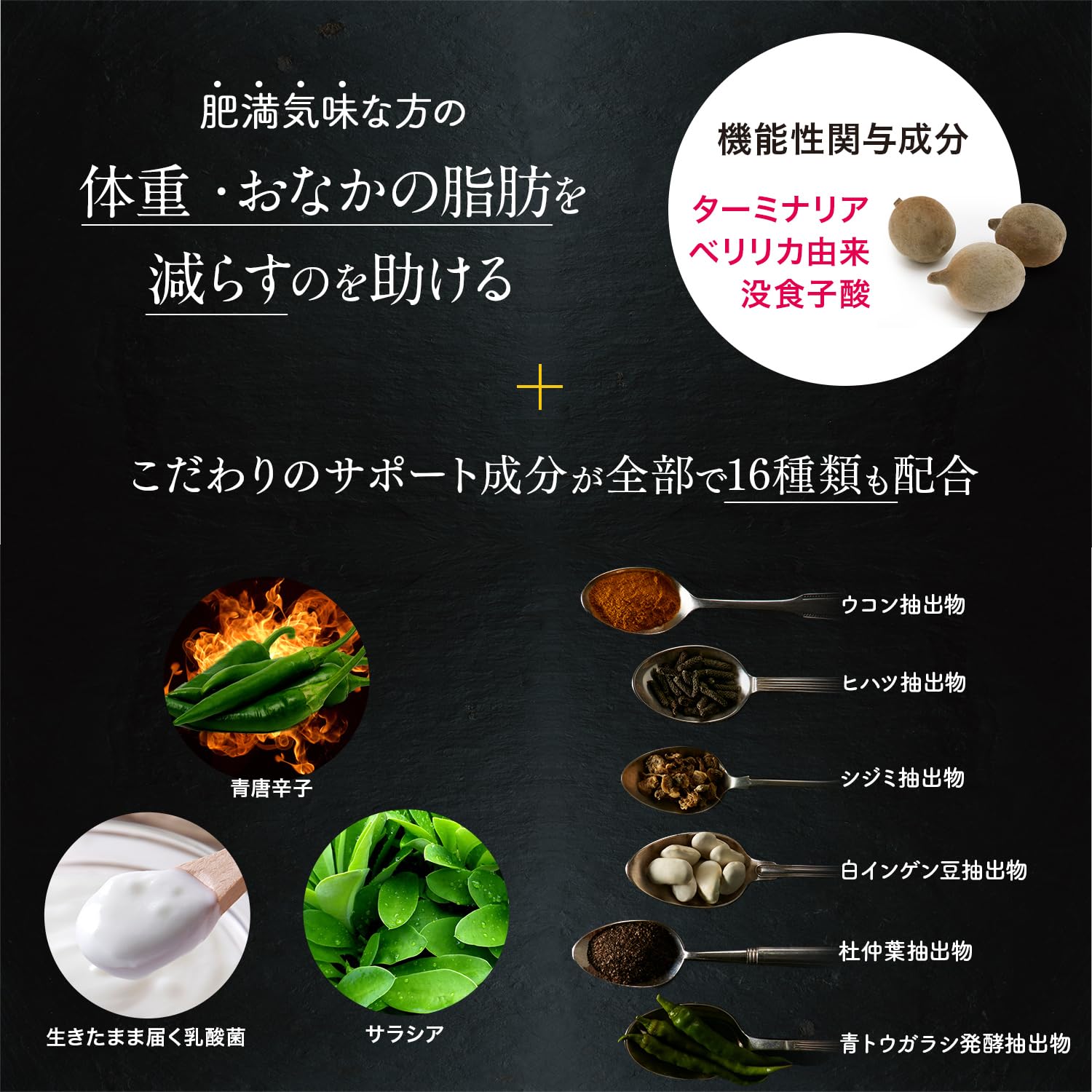 Amazon.co.jp: ターミナリアファースト 4 (機能性表示食品 / 120粒×6袋