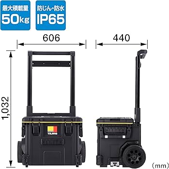 71X6RbPzrsL._AC_UF350,