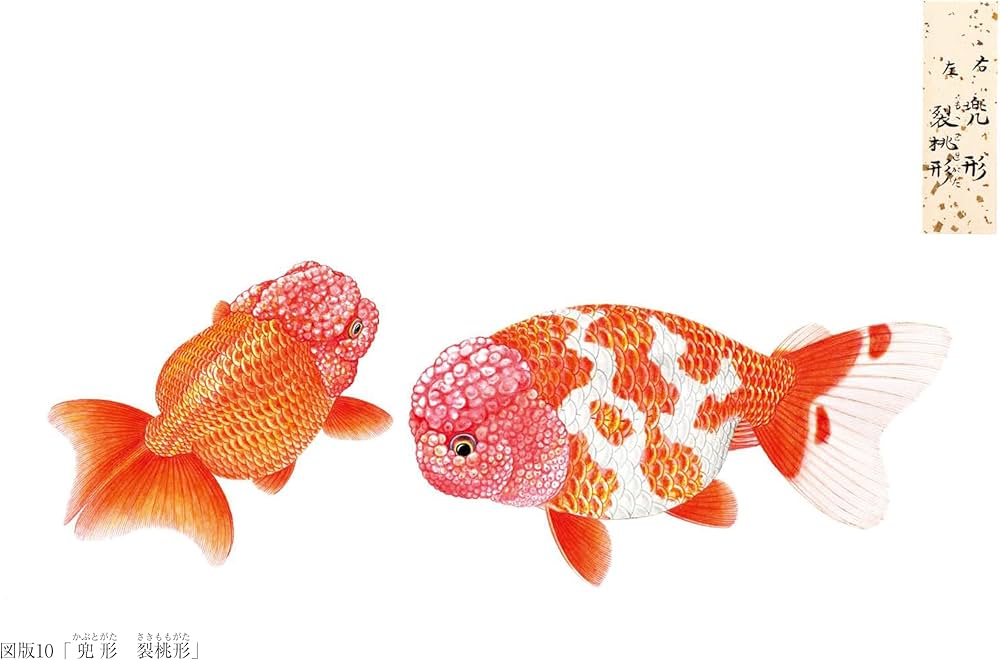 71YLv7jKgRL._AC_UF1000,