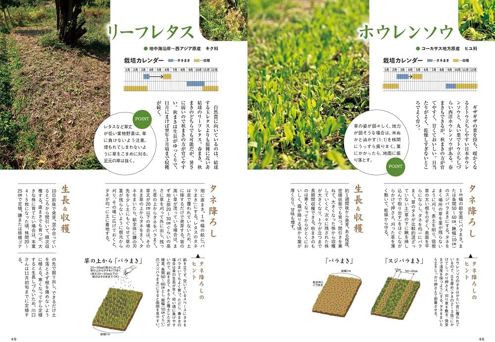 完全版 川口由一 自然農 | 川口由一 |本 | 通販 | Amazon