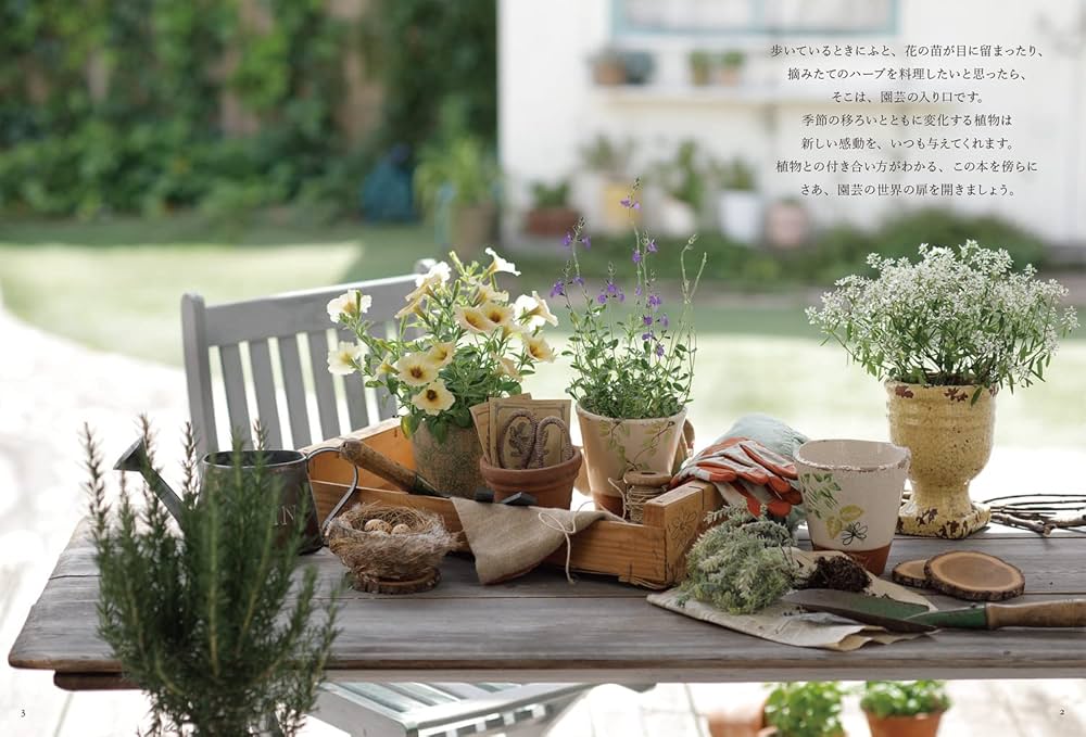 植物を育てる楽しみとコツがわかる 「園芸」の基本帖 | 矢澤 秀成 |本