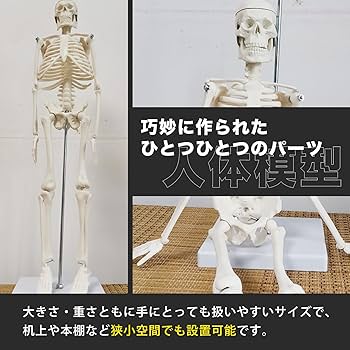 71c+GTp1QTL._AC_UF350,