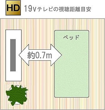 Amazon.co.jp: パナソニック 19V型 液晶テレビ ビエラ TH-19D300