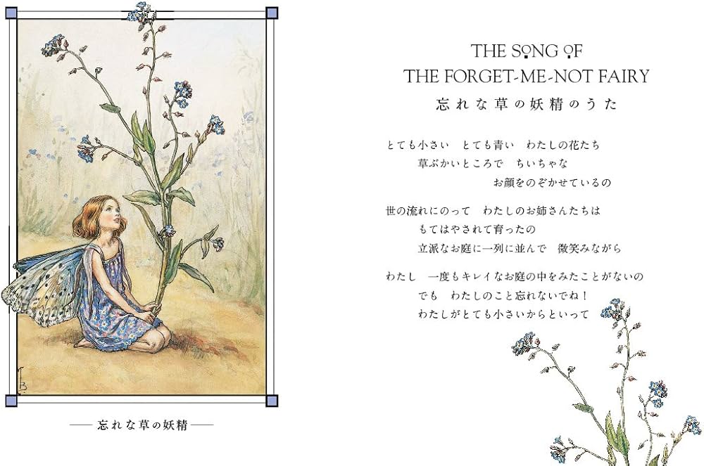 フラワーフェアリーズ 花の妖精たち夏 (リトル・プレス・エディション