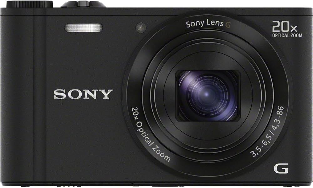 Sony Cyber-shot DSC-WX300 18.2MP Digital Camera - Black (black