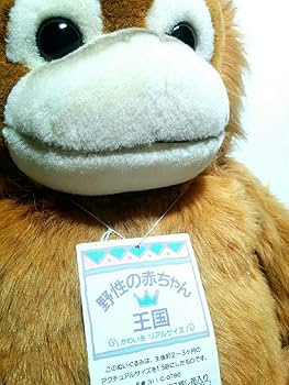 Amazon.co.jp: 貴重オランウータン 野性の赤ちゃん 王国 L ナカジマ