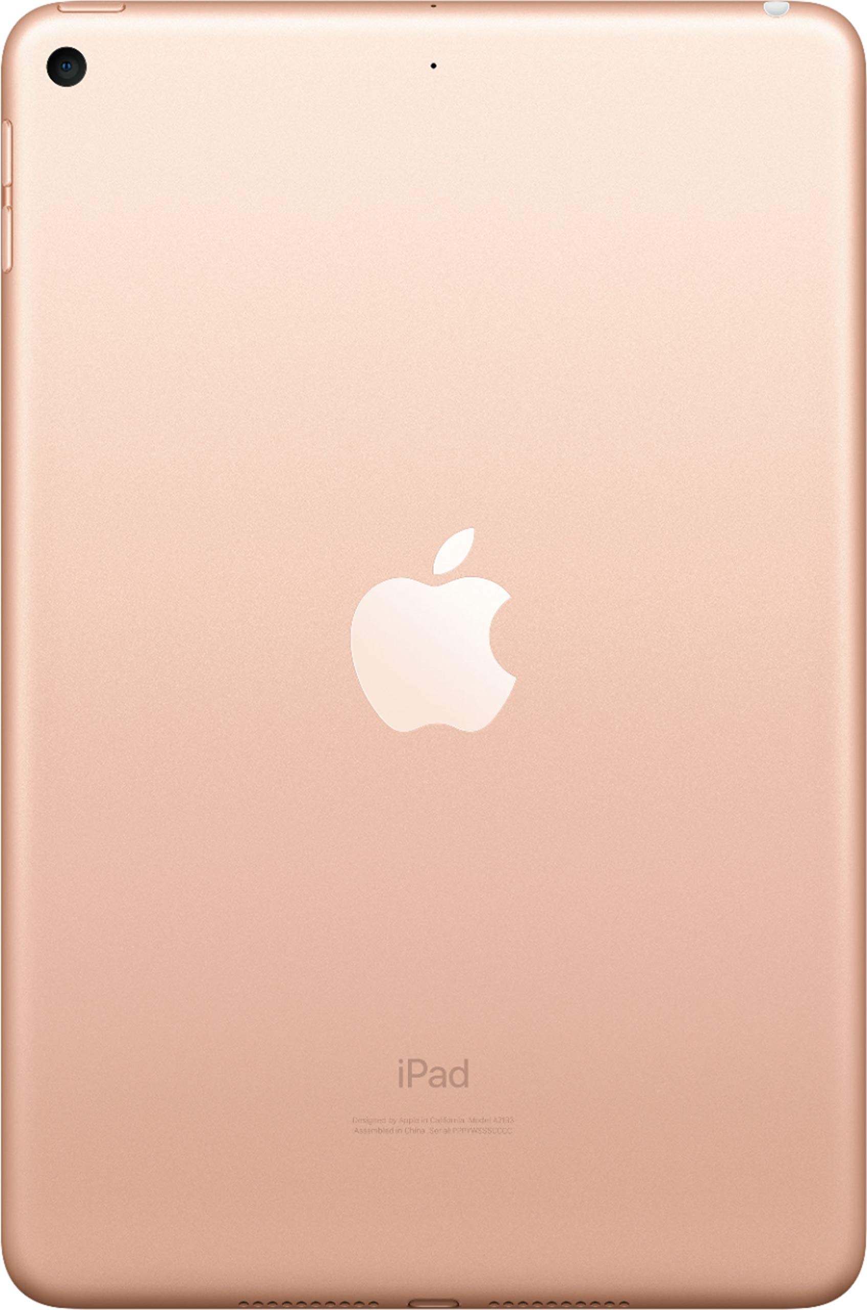 Amazon.com : Apple iPad Mini, 5th Generation (Wi-Fi, 64GB) - Gold
