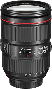 Amazon.com : Canon 1380C002-cr EF 24? 105mm f/4L is II USM Lens