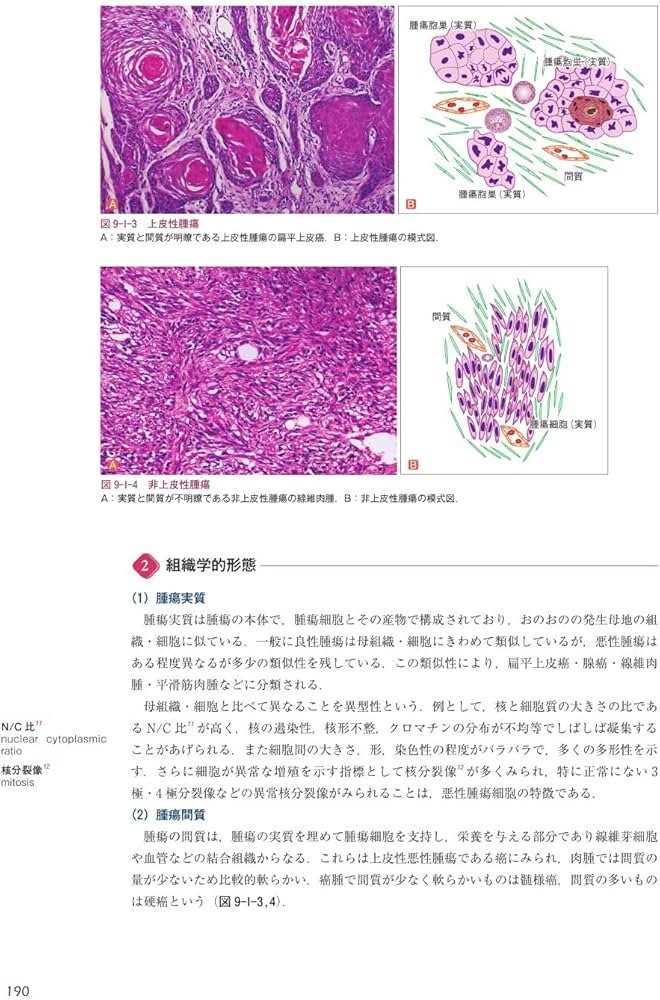 歯学生のための基礎病理学 | 髙田 隆, 豊澤 悟, 田沼 順一, 岡田 康男