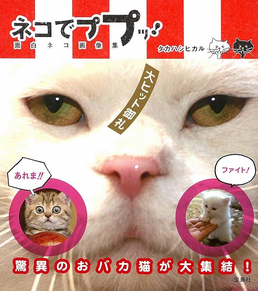 ネコでププッ! 面白ネコ画像集 | タカハシ ヒカル |本 | 通販 | Amazon