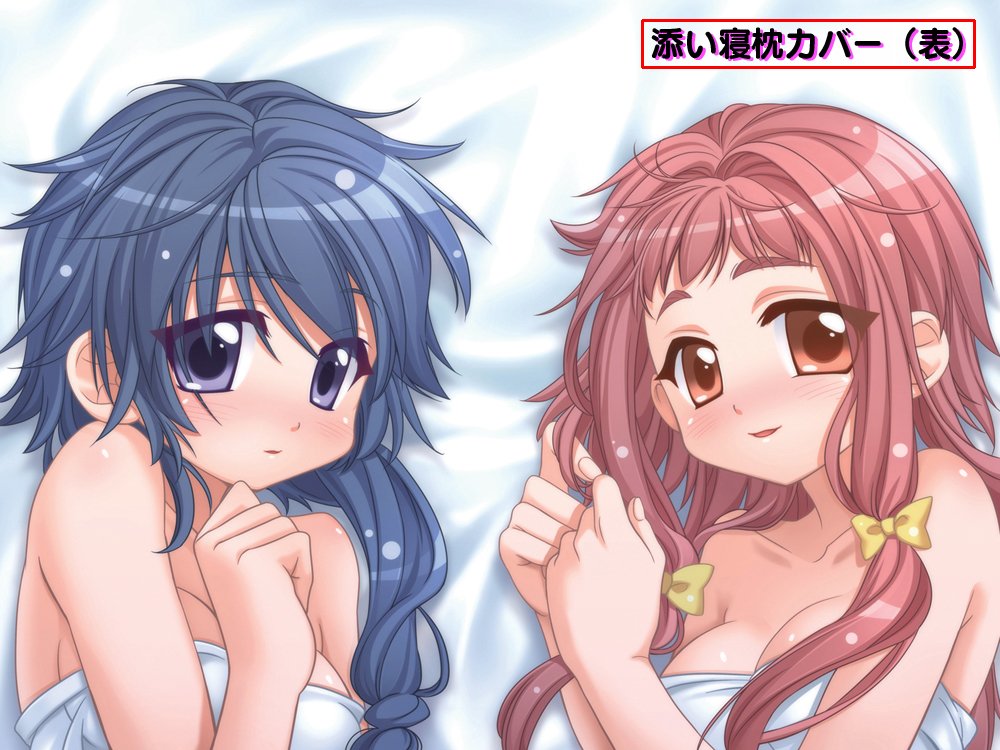 Amazon.co.jp: お掃除戦隊くりーんきーぱー H(はいぱー)(限定版:「枕