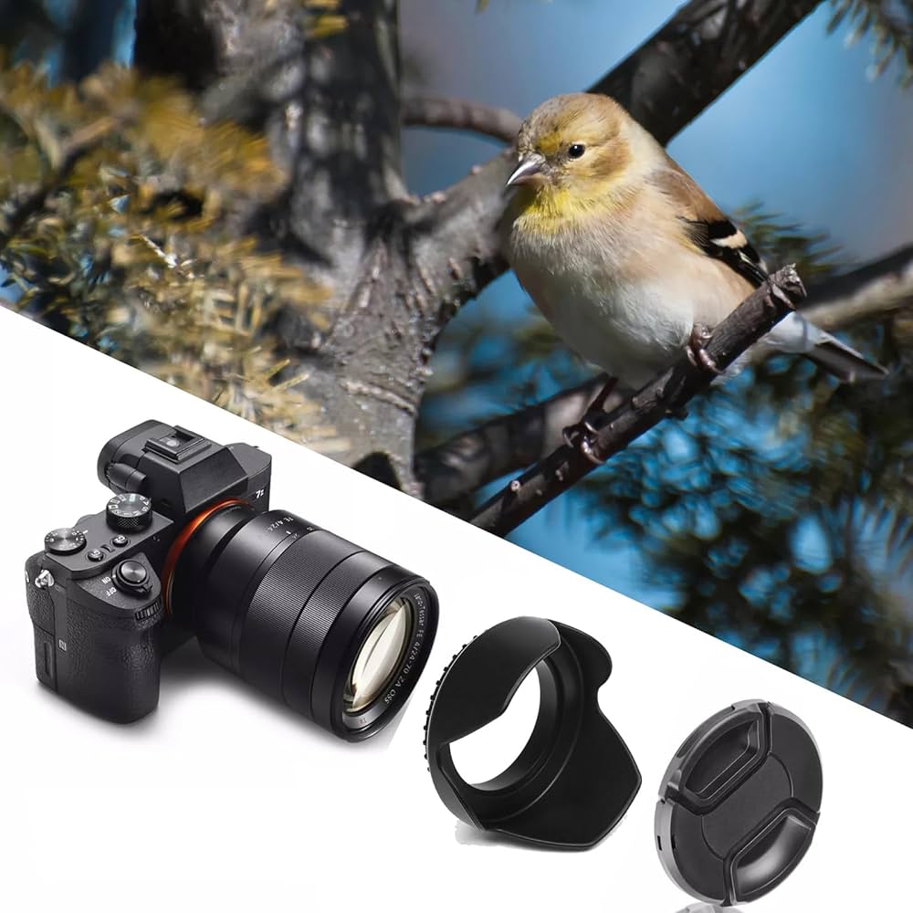 Amazon | レンズフード(シェード) Canon EF 50mm f/1.8 STM対応