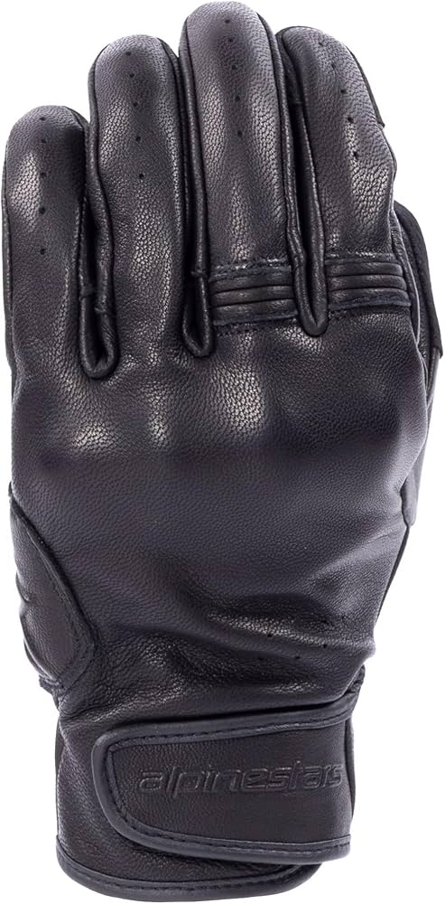 Amazon | アルパインスターズ(Alpinestars) バイクグローブ ブラック