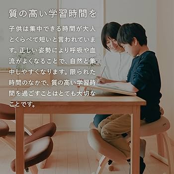 Amazon.co.jp: バランスラボ バランスイージー 通常フレーム 通常箱