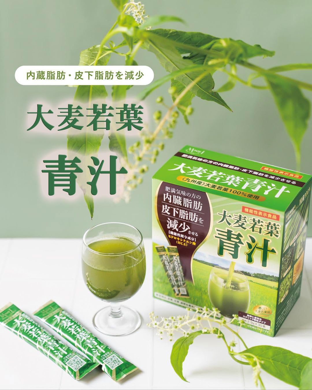 Amazon.co.jp: 日本メディカルシステム ダイエット大麦若葉青汁 30本