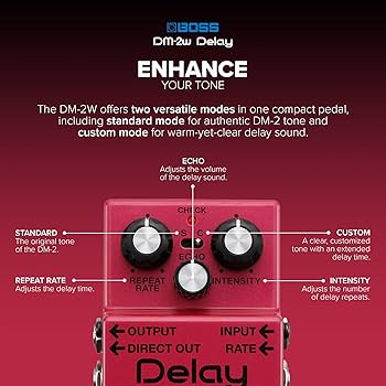 Amazon.com: Boss DM-2W Delay Waza Craft Guitar Effects Pedal