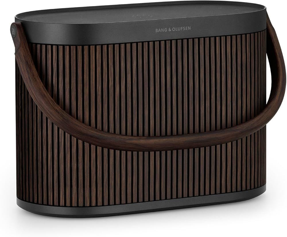 Amazon.com: Bang & Olufsen Beosound A5 - Portable Bluetooth