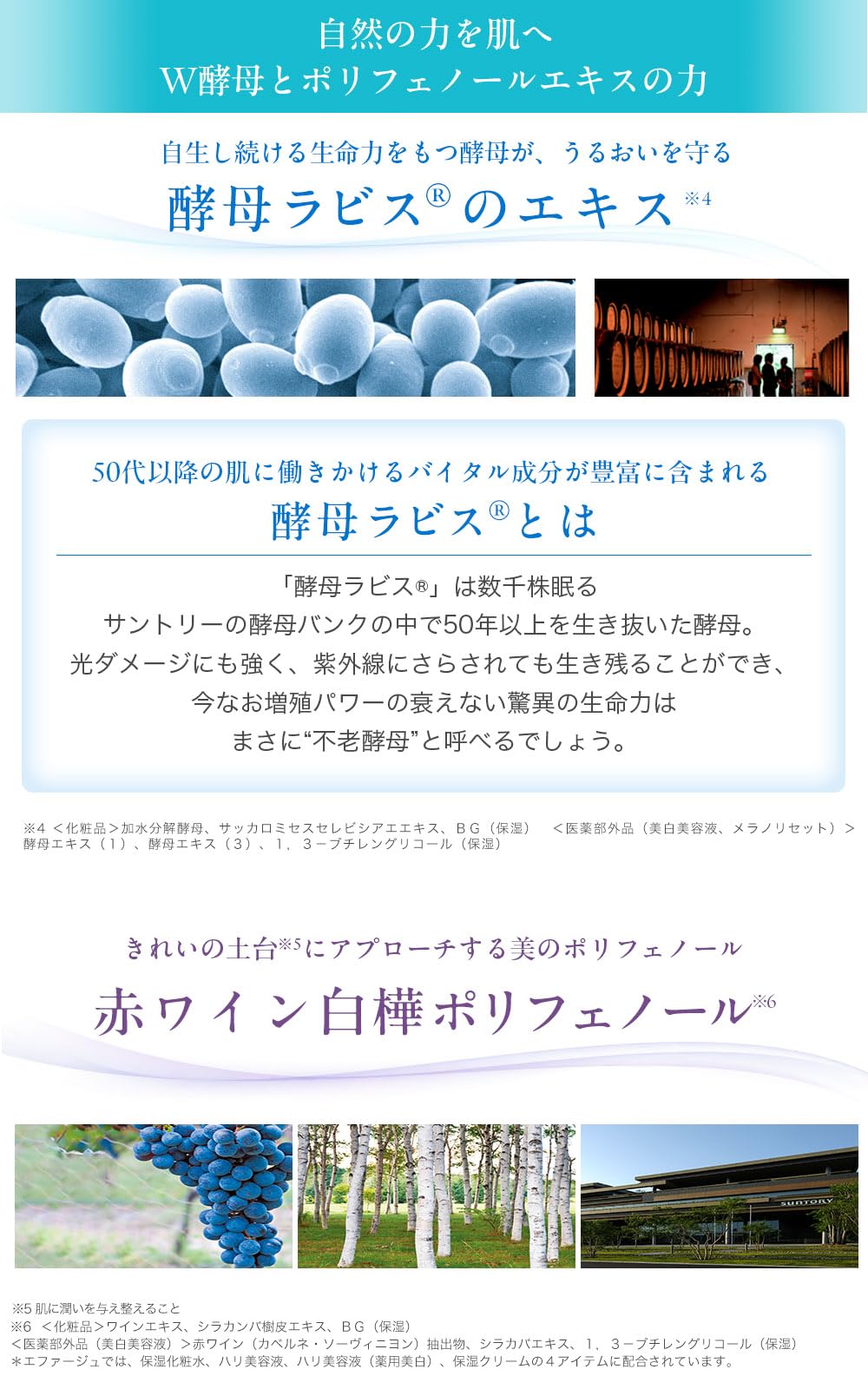 Amazon | サントリー エファージュ ファインスムーズ クレンジング