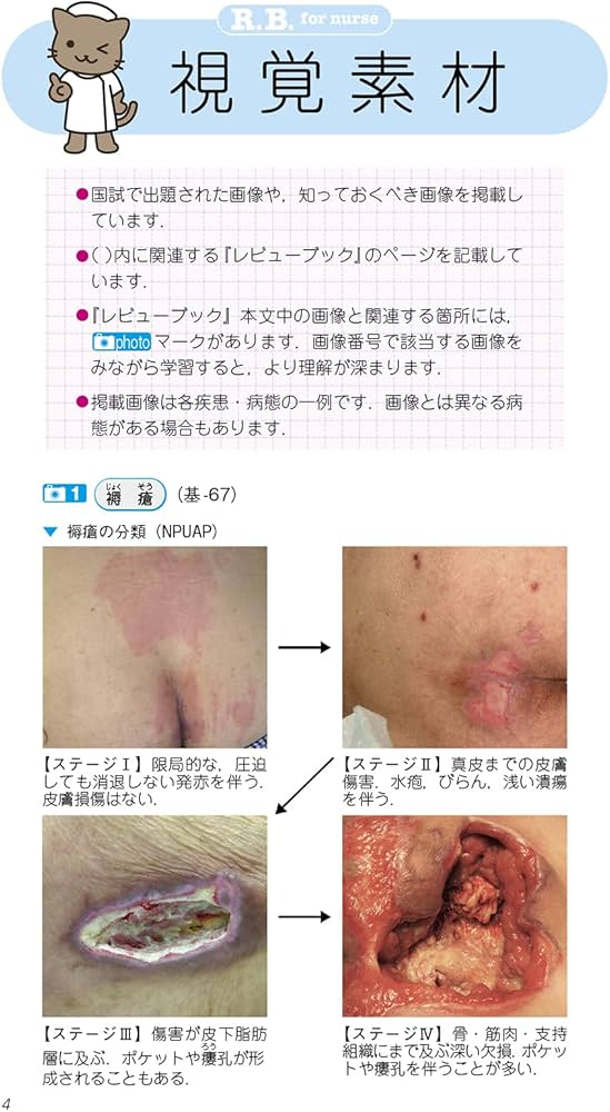 看護師・看護学生のためのレビューブック2023 | 岡庭豊 |本 | 通販