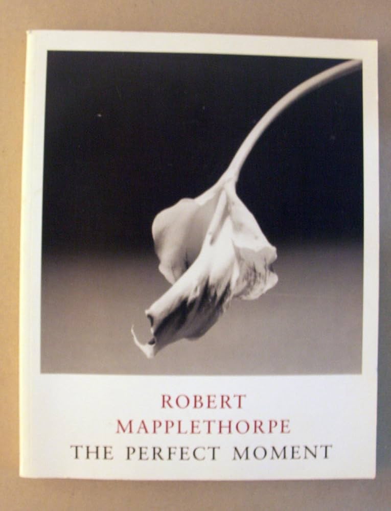Robert Mapplethorpe: The Perfect Moment: Kardon, Janet