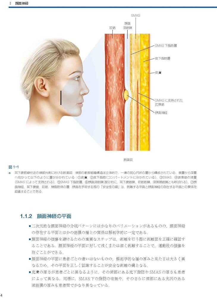 Facial Danger Zones 日本語版（フェイシャルデンジャーゾーン）［Web