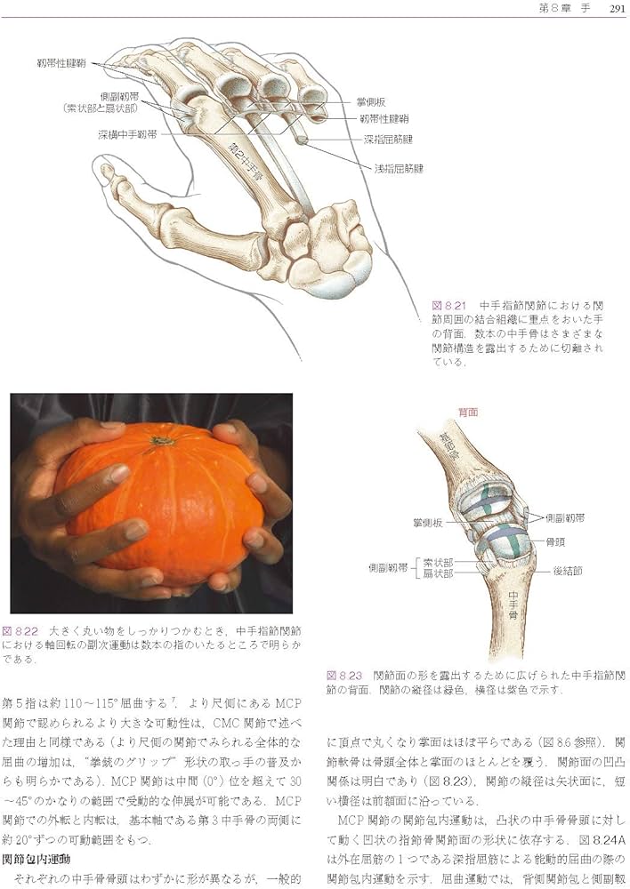 筋骨格系のキネシオロジー 原著第3版 | Donald A.Neumann, P.D.Andrew