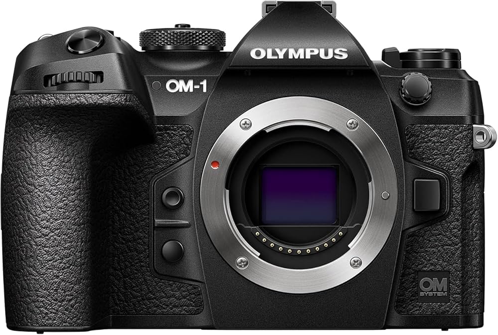Amazon.co.jp: OM SYSTEM/Olympus OM-1 Body Black : Electronics