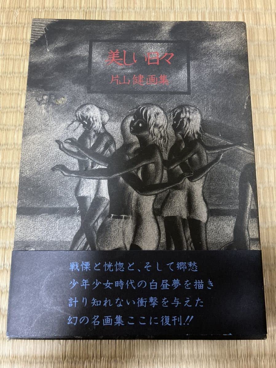 Amazon.co.jp: 画集 片山健 美しい日々 帯付 喇嘛舎 : おもちゃ