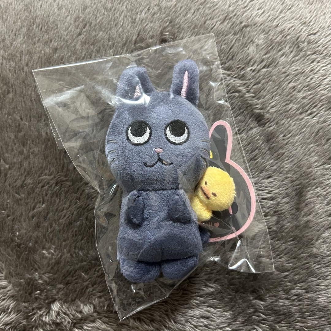 Amazon.co.jp: riize ウォンビン バレンタインぬい 토냥덕