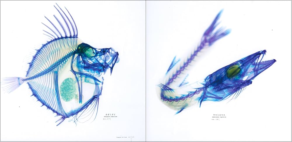 71nCS9YQOpL._AC_UF1000,