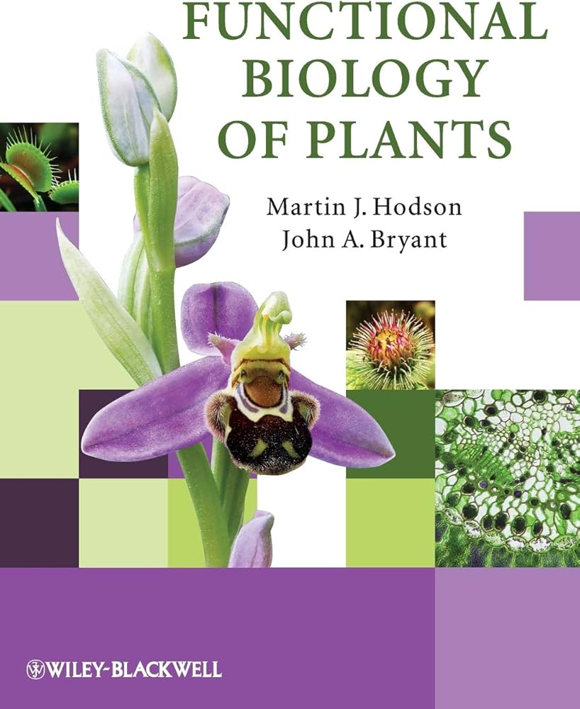Amazon.com: Functional Biology of Plants: 9780470699393: Hodson