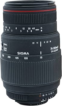 Amazon.com : Sigma 70-300mm f/4-5.6 APO Macro Super Lens for Nikon