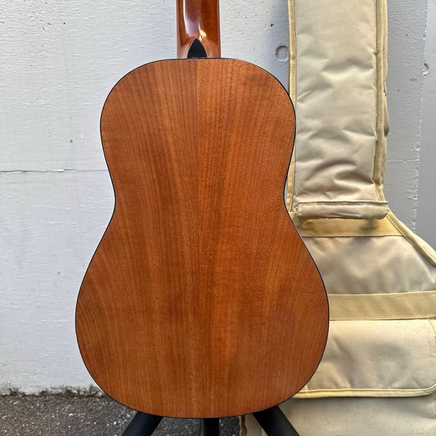 Amazon.co.jp: k.yairi ヤイリギター nocturne CUSTOM ノクターン