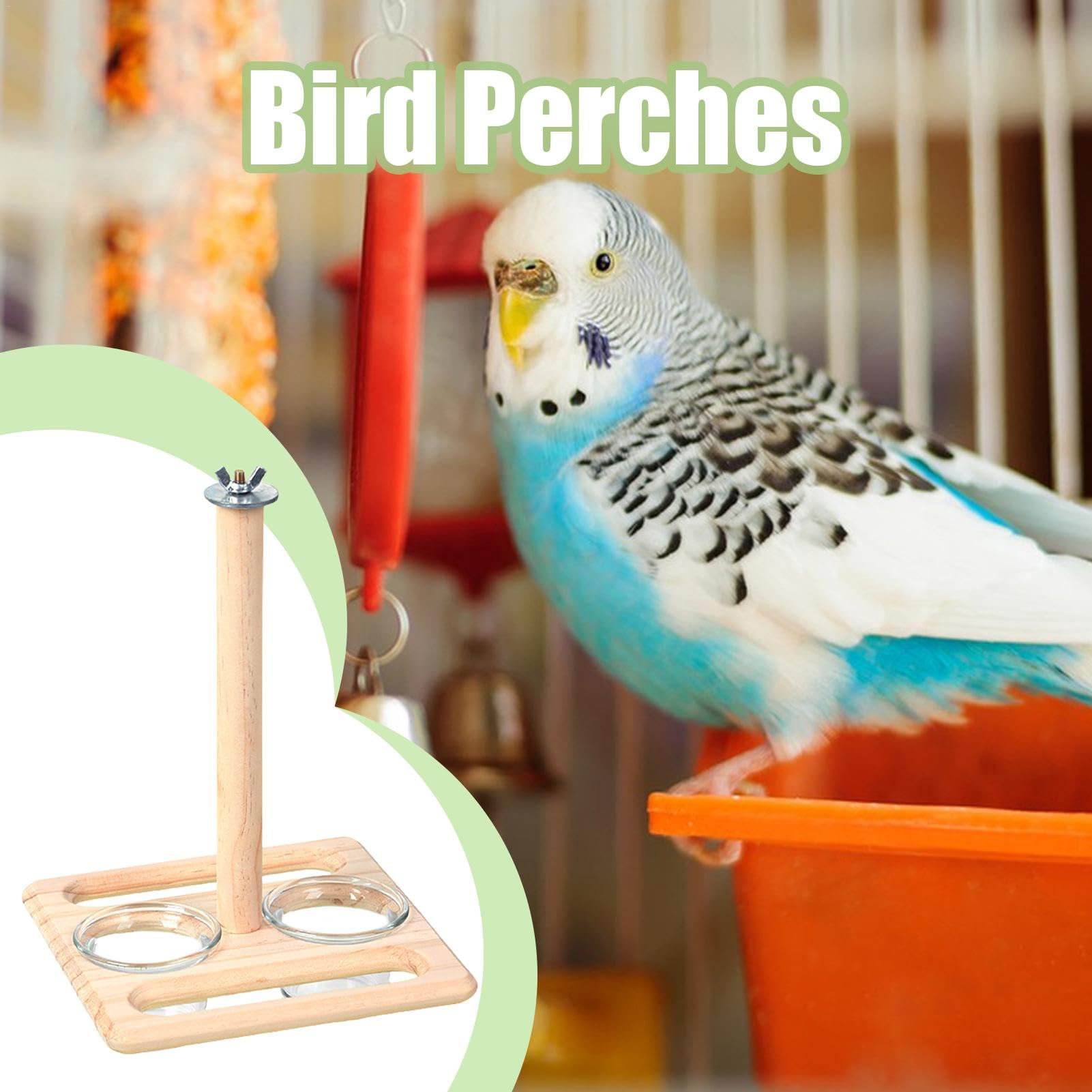 Amazon | Dfyiq 鳥かごの止まり木、ケージ用の鳥の止まり木 | 鳥かごの