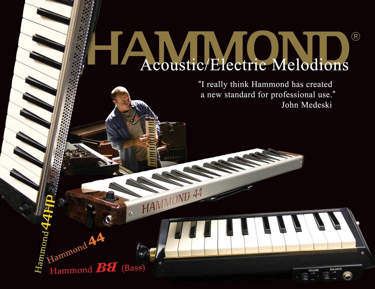 Amazon | HAMMOND ハモンド PRO-24B 鍵盤ハーモニカ エレアコ バス