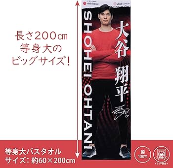 8144RZIoSkL._AC_UF350,