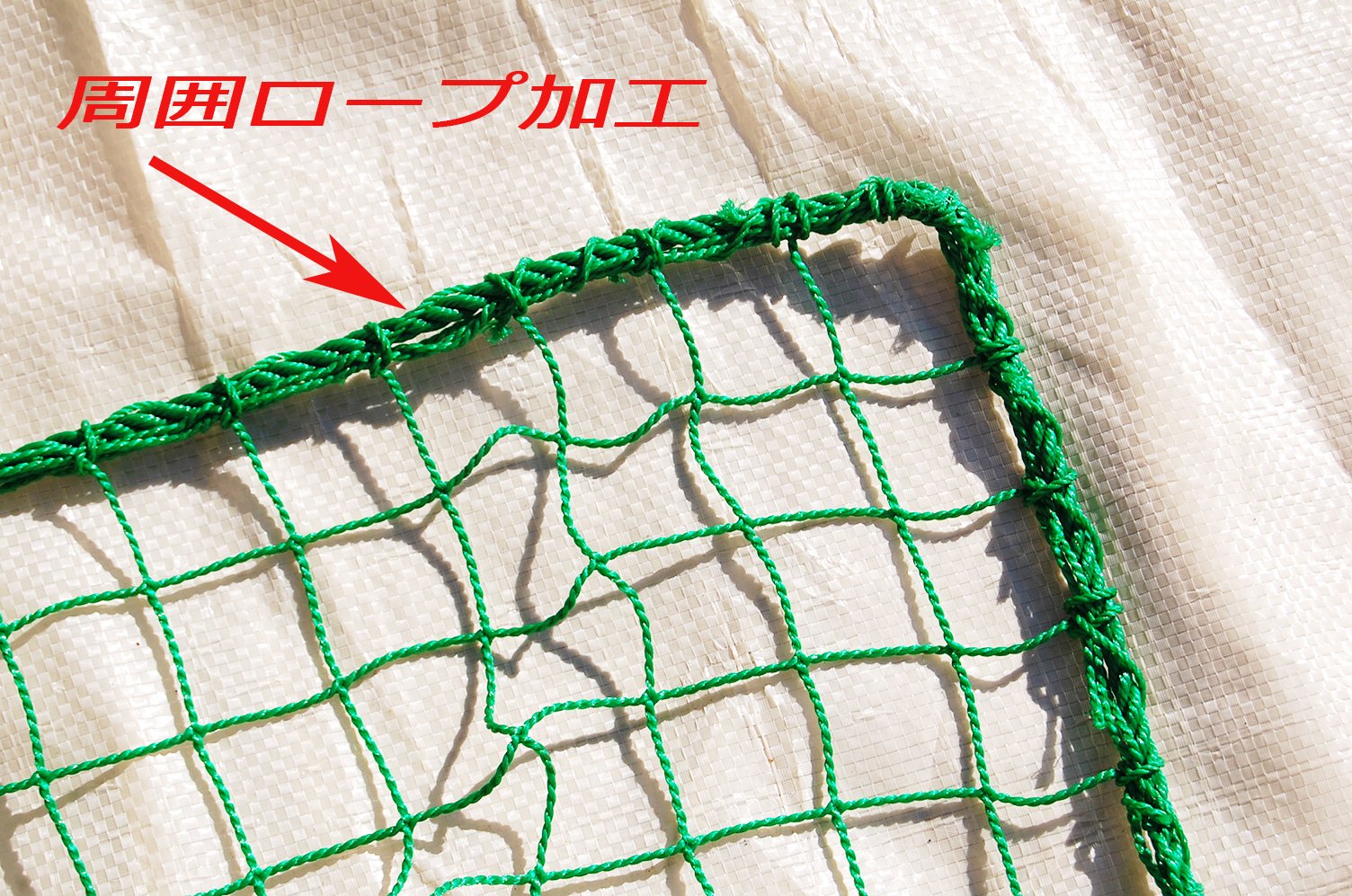 Amazon | 野球ネット軟式用(4m×8m) | スポーツネット設備 | バック