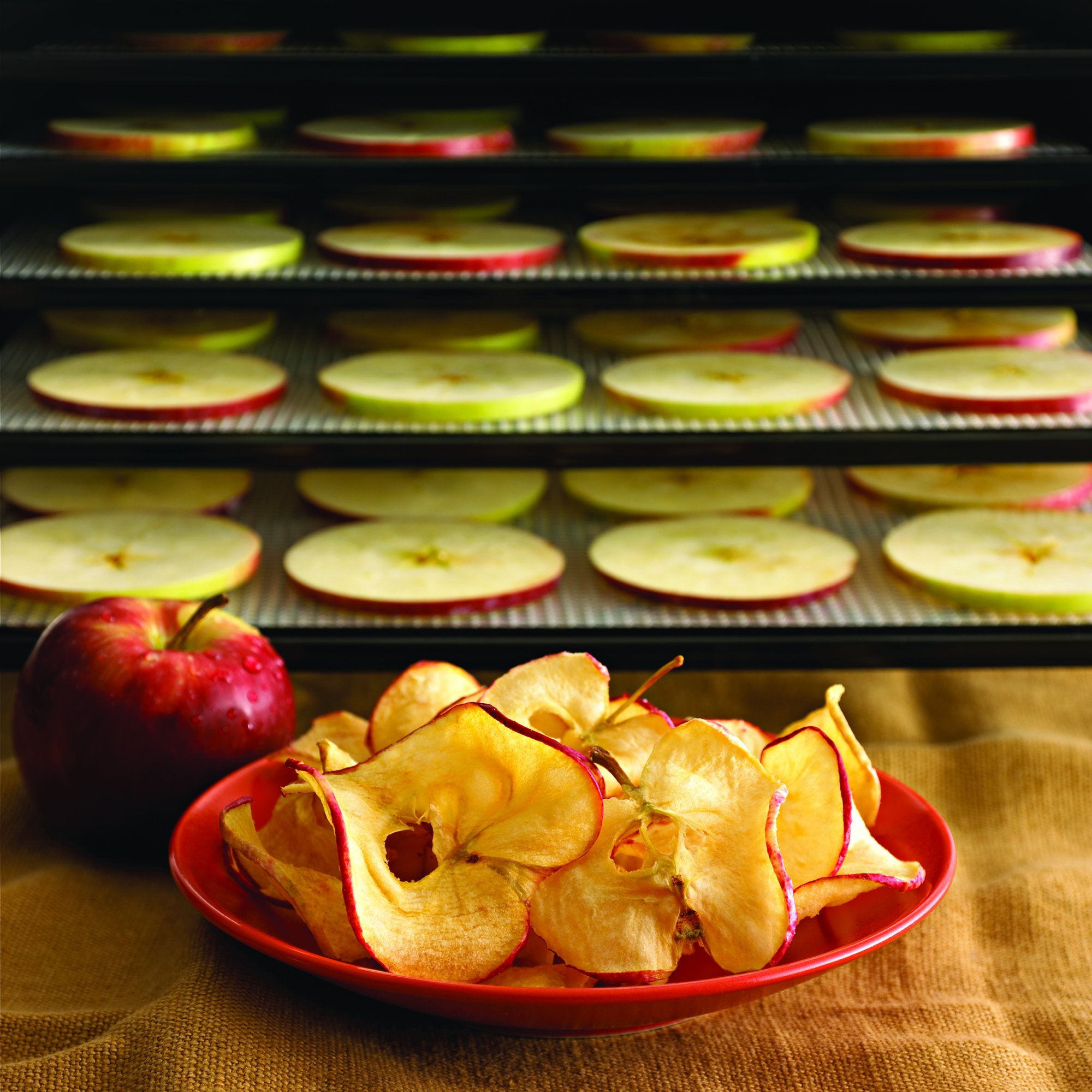 Amazon.co.jp: Excalibur エクスカリバー 食品乾燥機 フードディハイド