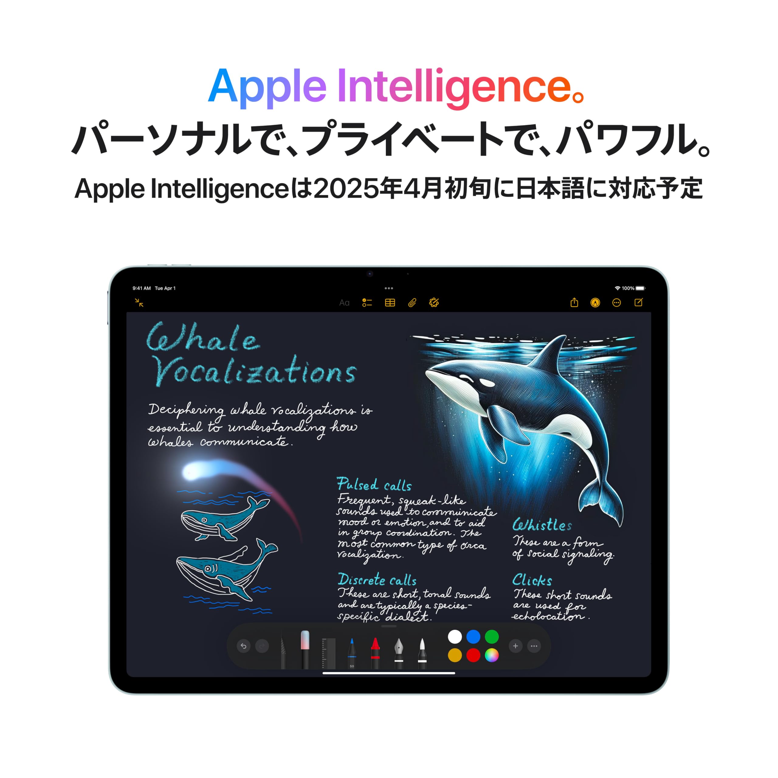 Amazon.co.jp: 【整備済み品】Apple iPad Air 11 インチ (M3) Wi-Fi