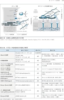 専門医のための腎臓病学 第3版 | 内山 聖, 富野 康日己, 今井 裕一