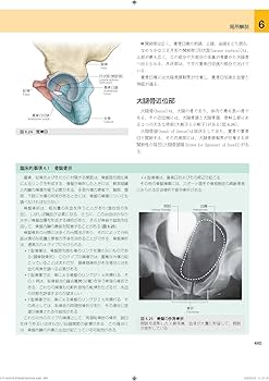 グレイ解剖学 原著第3版 電子書籍(日本語版・英語版)付 | Richard