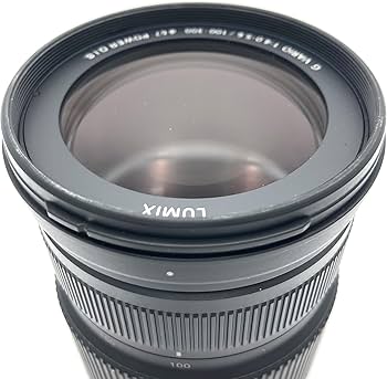 Amazon.com : Panasonic H-FSA100300 Interchangeable Lens LUMIX G