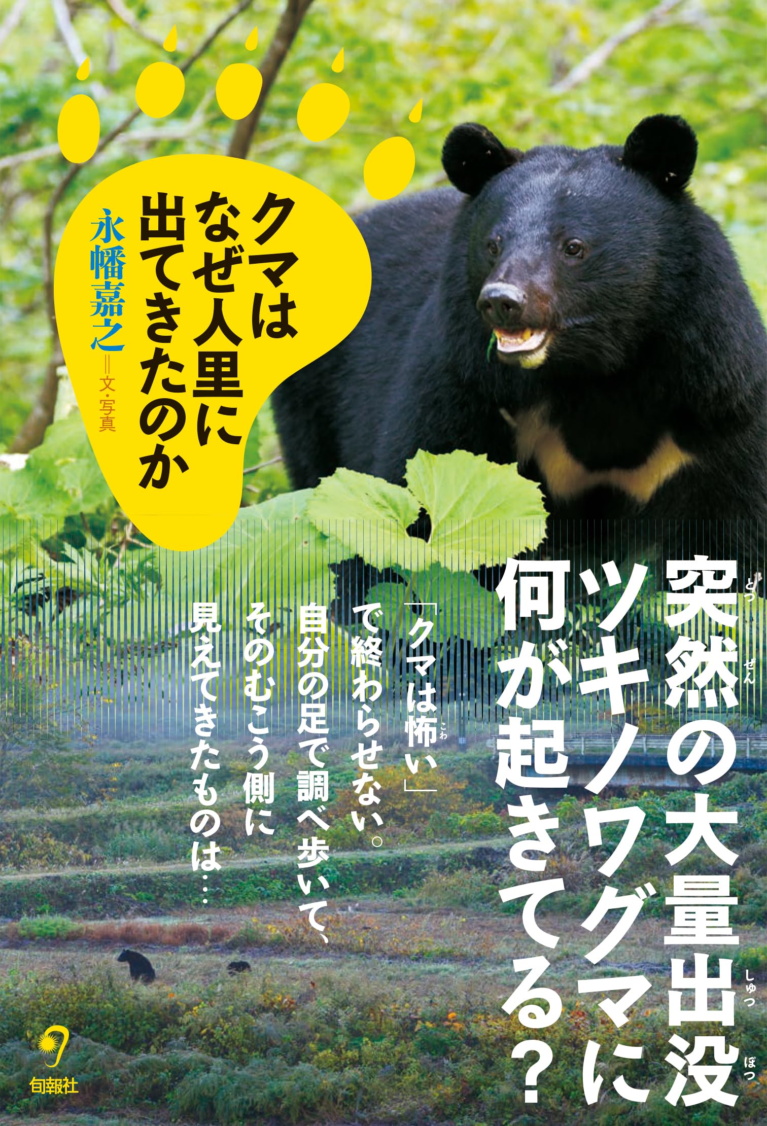 クマはなぜ人里に出てきたのか | 永幡嘉之 |本 | 通販 | Amazon