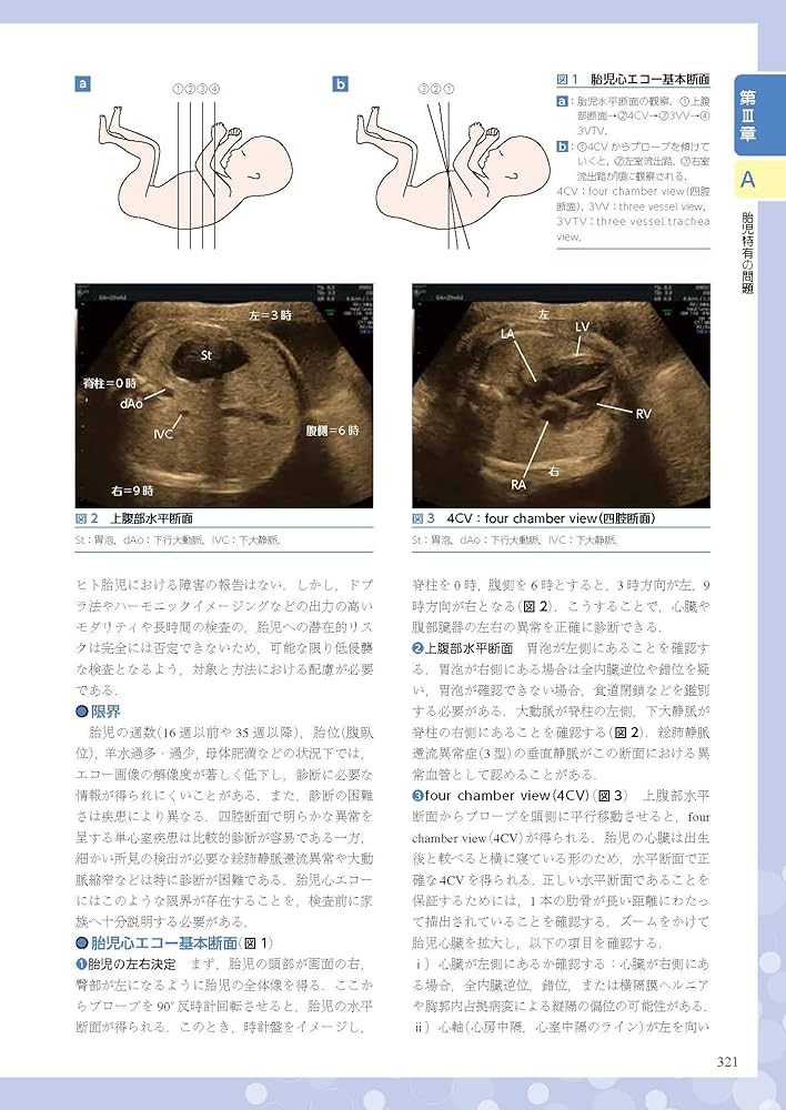 小児・成育循環器学 改訂第2版 | 日本小児循環器学会 |本 | 通販 | Amazon