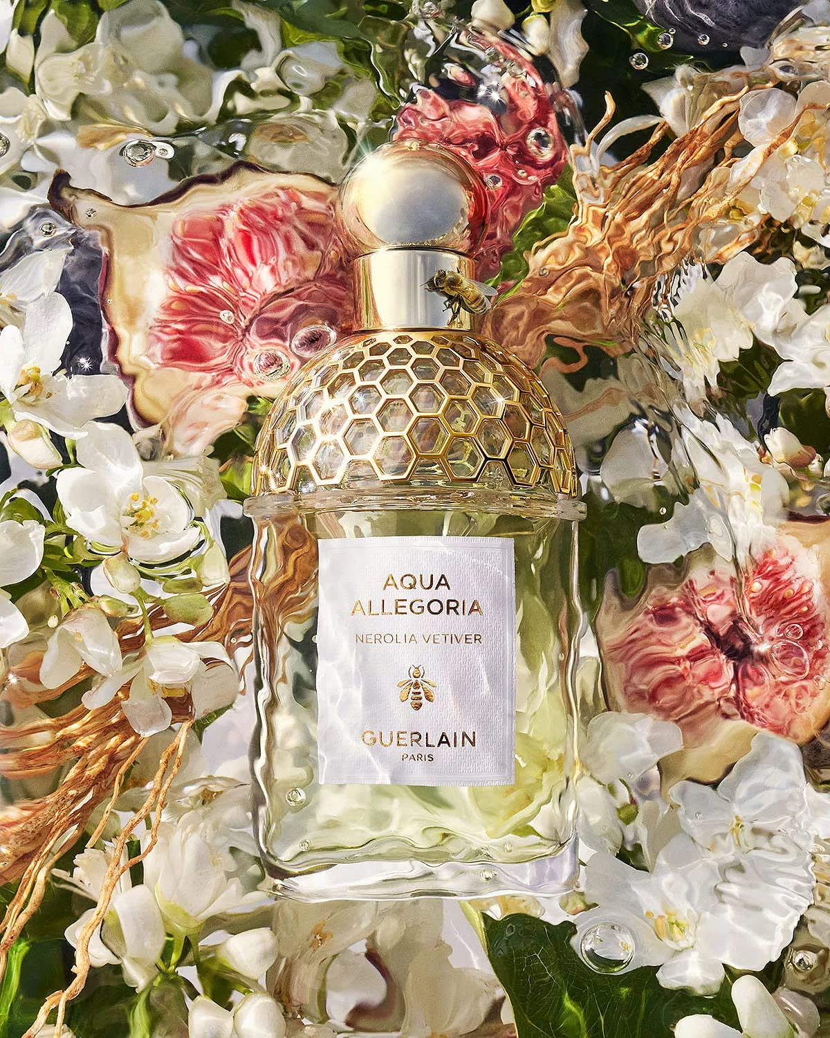 Amazon.com : Guerlain Aqua Allegoria Nerolia Vetiver for Unisex